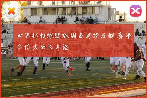 世界杯假球赌球调查持续发酵 赛事公信力面临考验