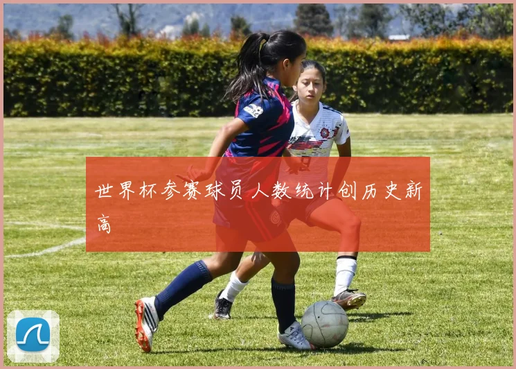 世界杯参赛球员人数统计创历史新高