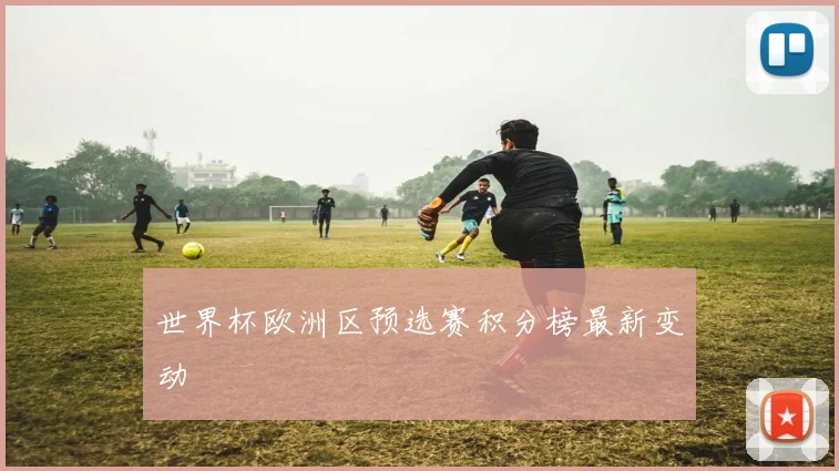 世界杯欧洲区预选赛积分榜最新变动